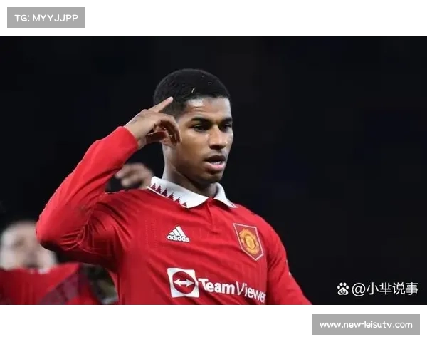 曼联CEO的神秘小说